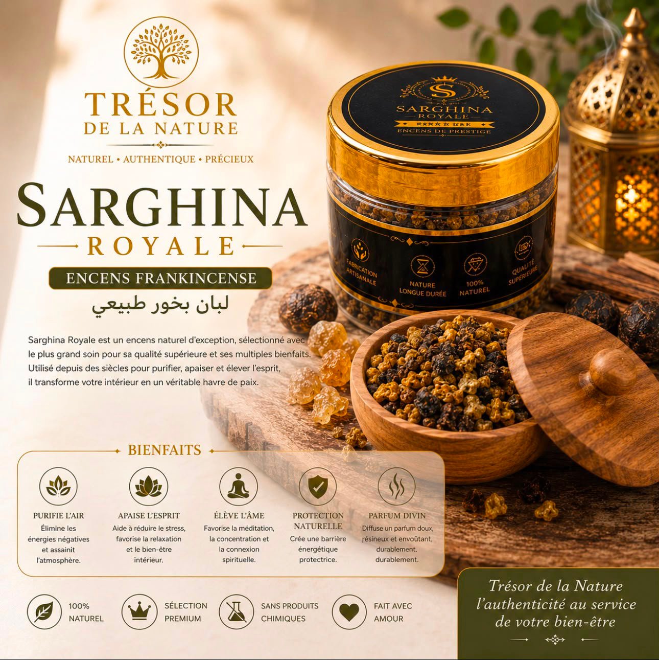 Sarghina Royale